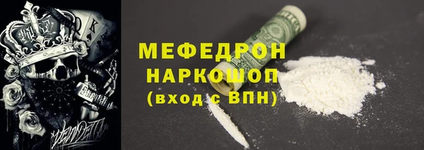 индика Алексин