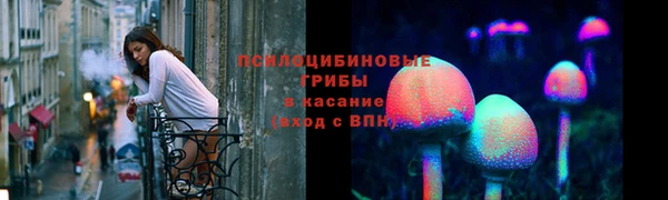соль ск Покровск