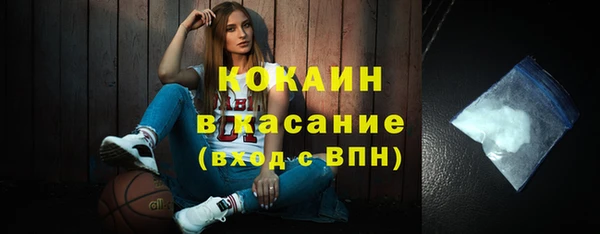 индика Алексин