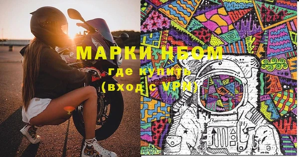индика Алексин
