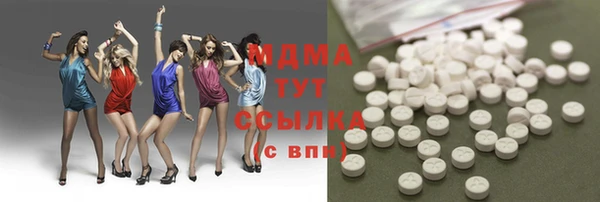 индика Алексин