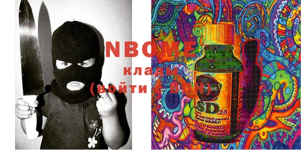 ECSTASY Покачи