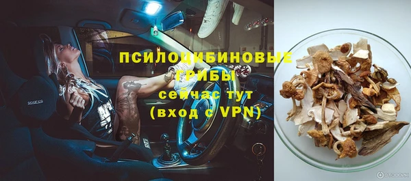 ECSTASY Покачи