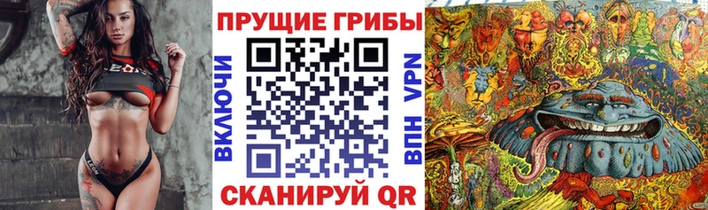 Псилоцибиновые грибы GOLDEN TEACHER Полысаево