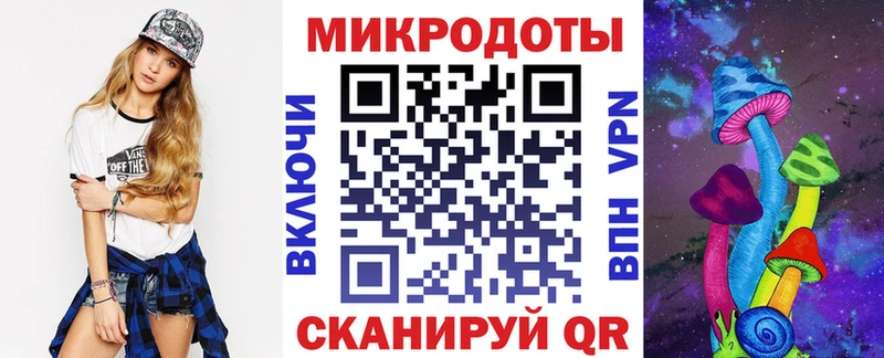 Псилоцибиновые грибы Psilocybine cubensis  Полысаево 