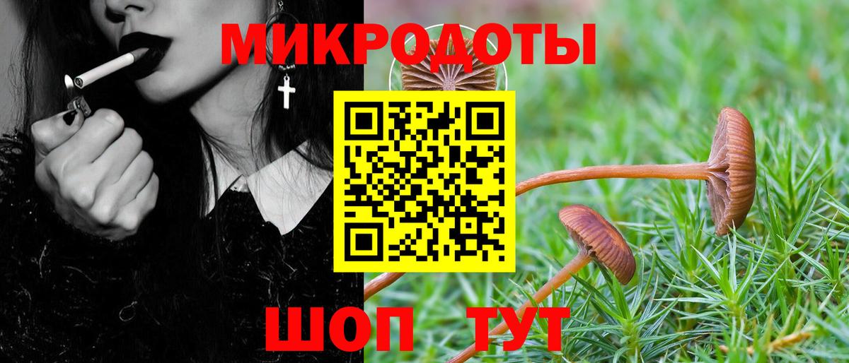 Галлюциногенные грибы Magic Shrooms  Псилоцибиновые грибы мухоморы  Вход с VPN  Полысаево 